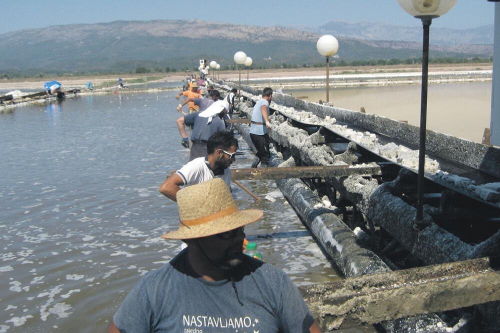 Solana, Ulcinj, berači soli, Foto: Samir Adrović