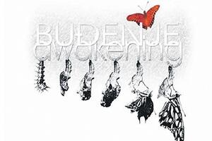 Otvaranje 46. zimskog salona u Herceg Novom