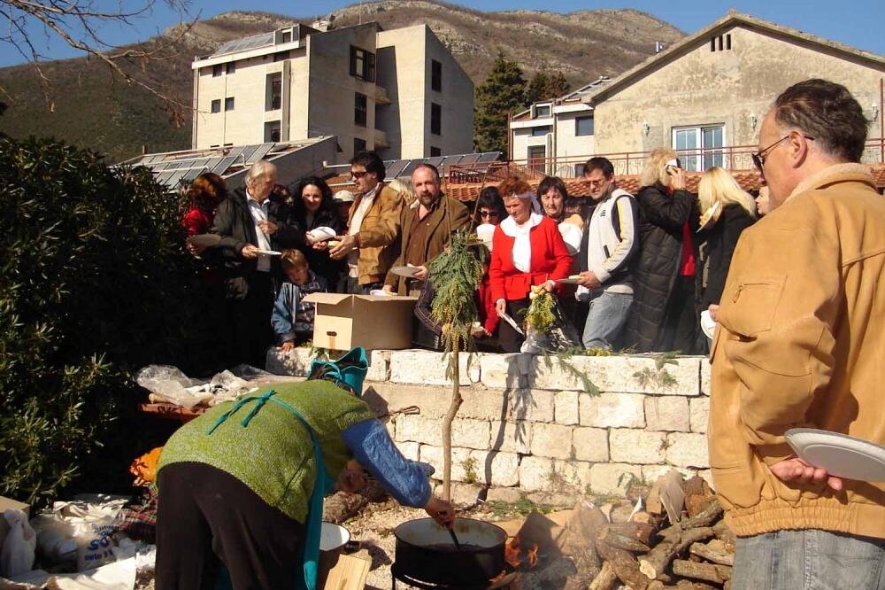Praznik mimoze, Foto: Slavica Kosić