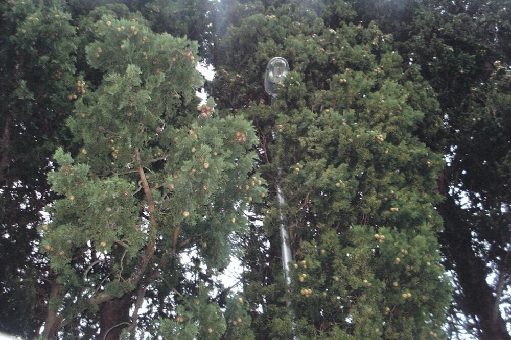 Buljarica, rasvjeta, Foto: Vuk Lajović