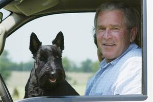 Bušovi dobili više od 30.000 izjava saučešća za psa