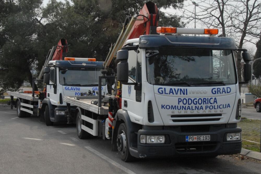 pauk vozilo, Foto: Vesko Belojević