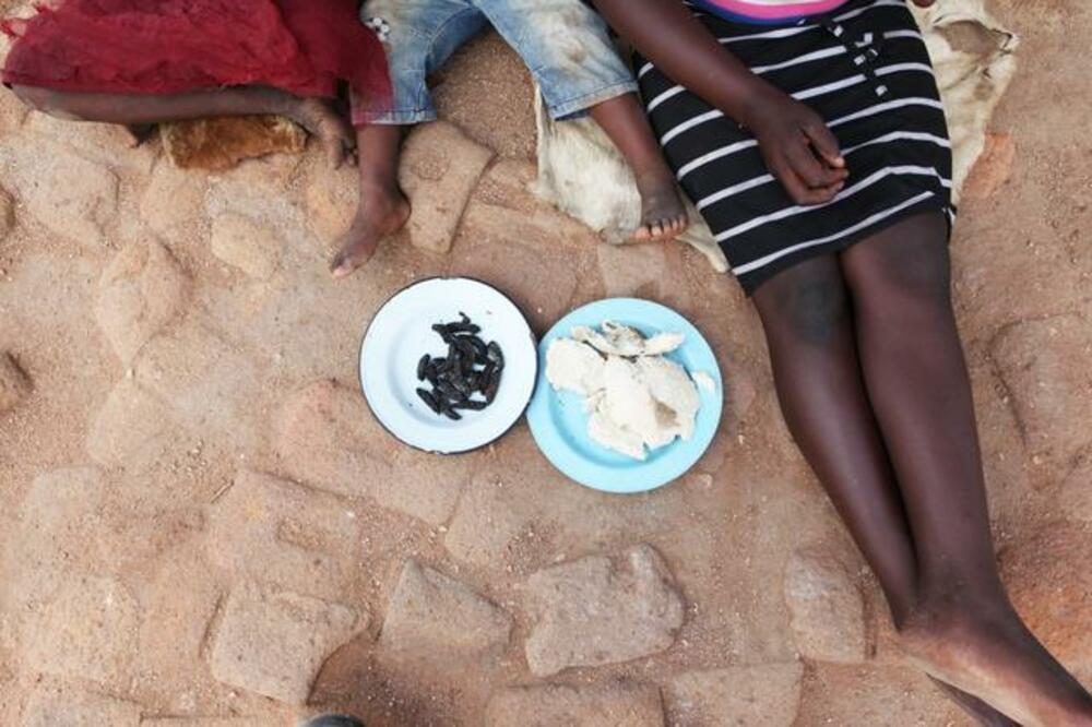 Zimbabve glad, Foto: Beta/AP