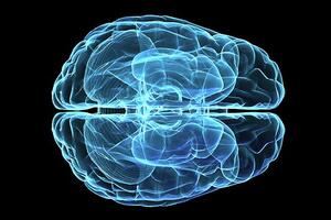Dvije milijarde eura za "mapu" ljudskog mozga i istraživanje...