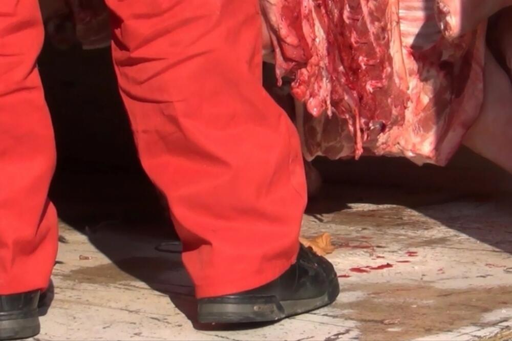 meso, Foto: Zoran Bojović