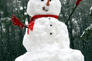 Hrvatska: Srušili Snješka Bjelića jer je izgrađen na divlje