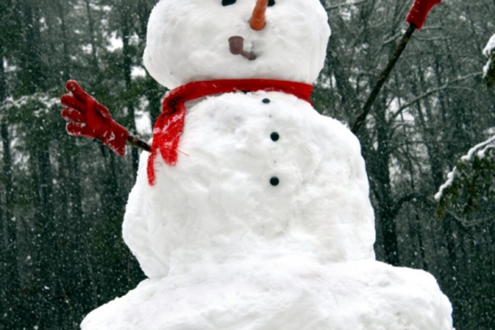 Snješko Bjelić, Foto: Shutterstock.com