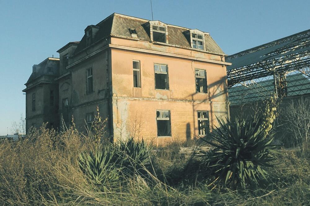 Solana Bajo Sekulić, Foto: Samir Adrović