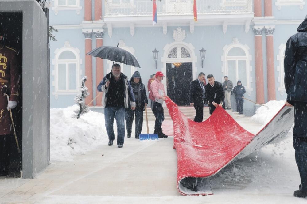 Pogrebno, Tomislav Nikolić, Foto: Savo Prelević