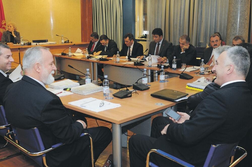 regulatorna tijela, Foto: Savo Prelević