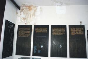 Pozitivna: Zaustaviti devastaciju dvorca Kralja Nikole