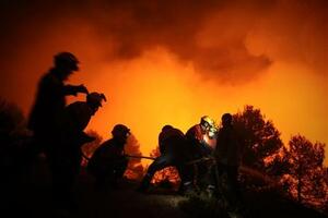 Hiljade ljudi na Tasmaniji bježi pred šumskim požarima