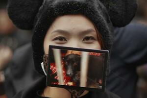 Tajvan: Protest zbog ubijanja pasa lutalica
