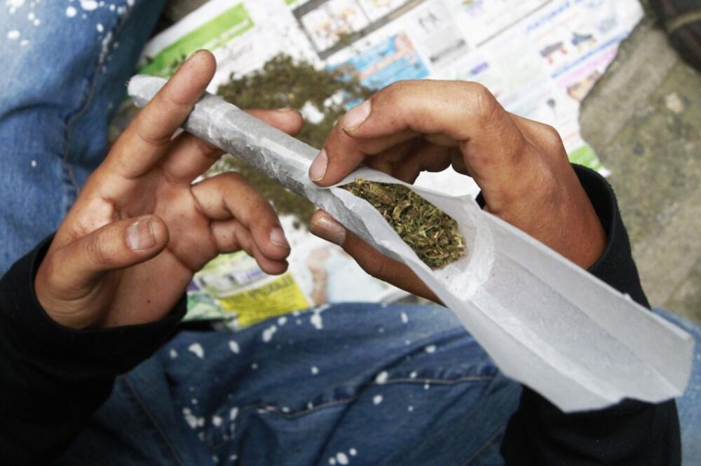 marihuana, Foto: Rojters