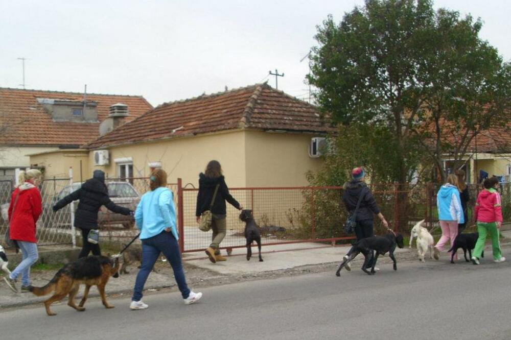 Azil, Podgorica, šetnja pasa, Foto: Facebook/Ruka-šapi