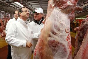 Kralj je go: Neuspjeh "amatera" Fransoa Olanda