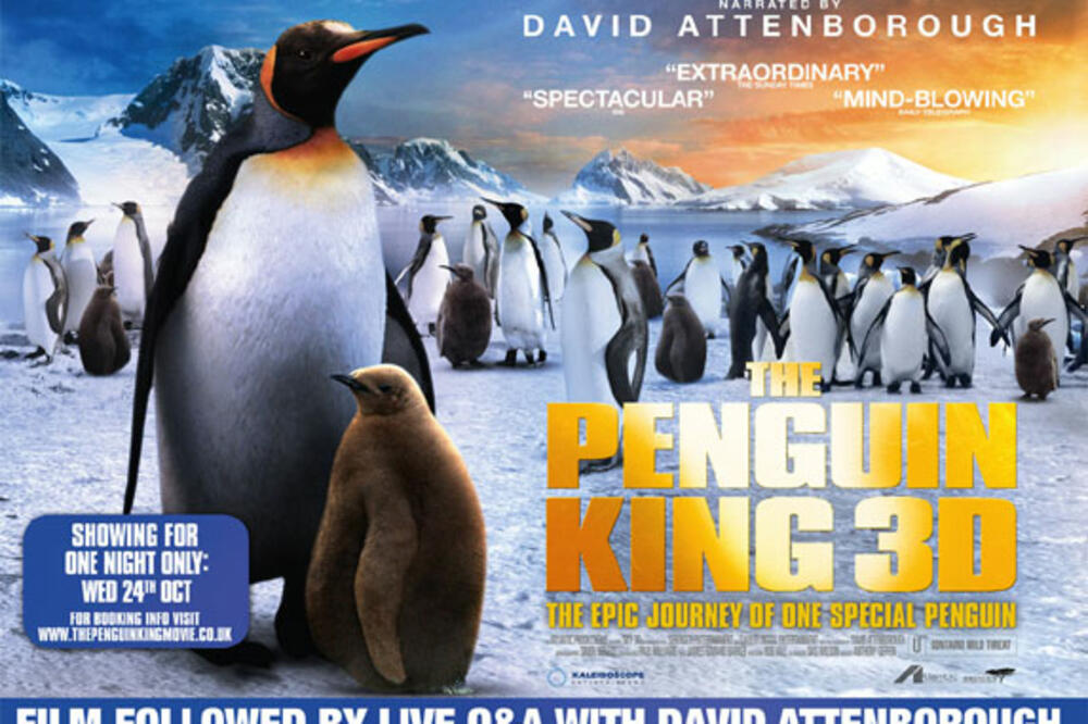 Kralj pingvina 3D, Foto: Web.orange.co.uk