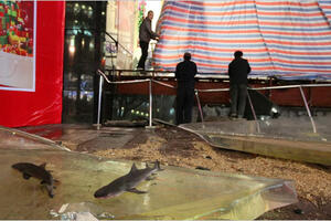 Šangaj: Pukao ogromni akvarijum sa ajkulama
