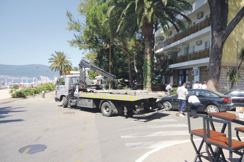 pauk, Tivat, Foto: Siniša Luković