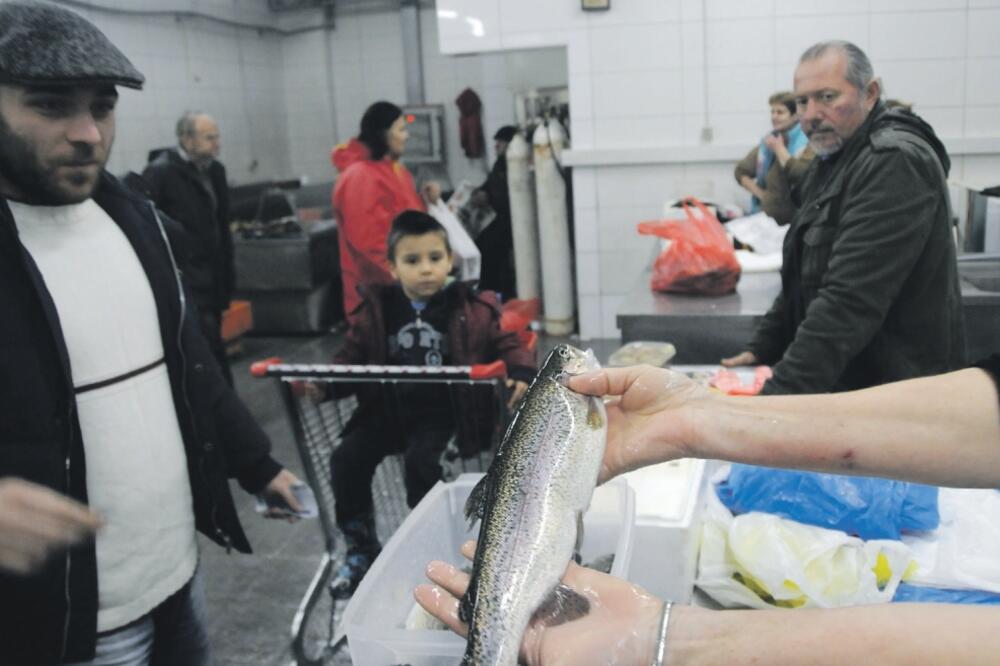 prodaja ribe, Foto: Luka Zeković