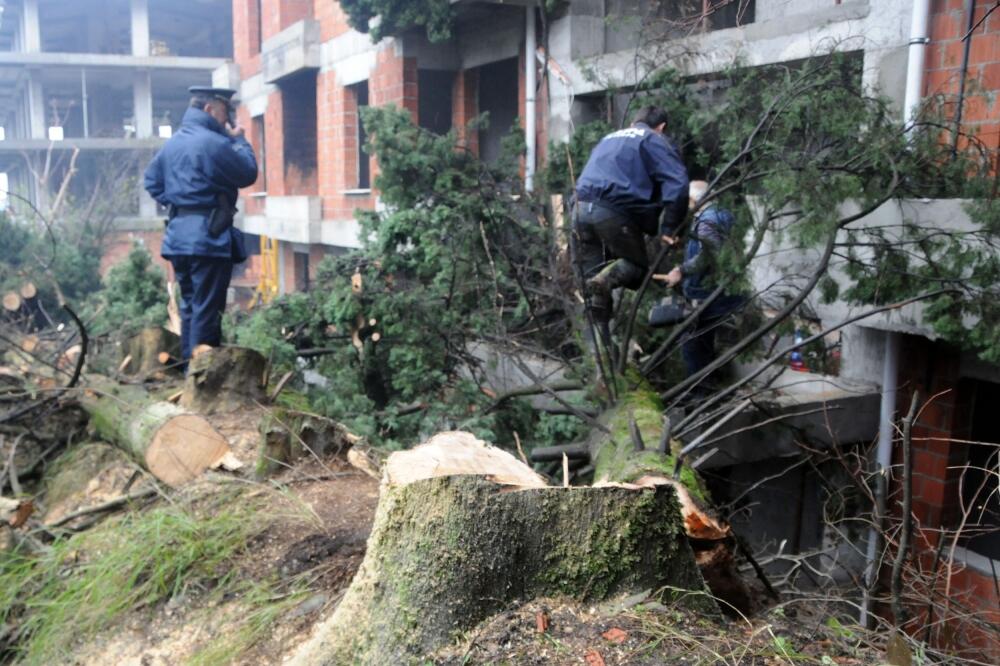 Gorica, Bon ami - inženjering, Foto: Luka Zeković
