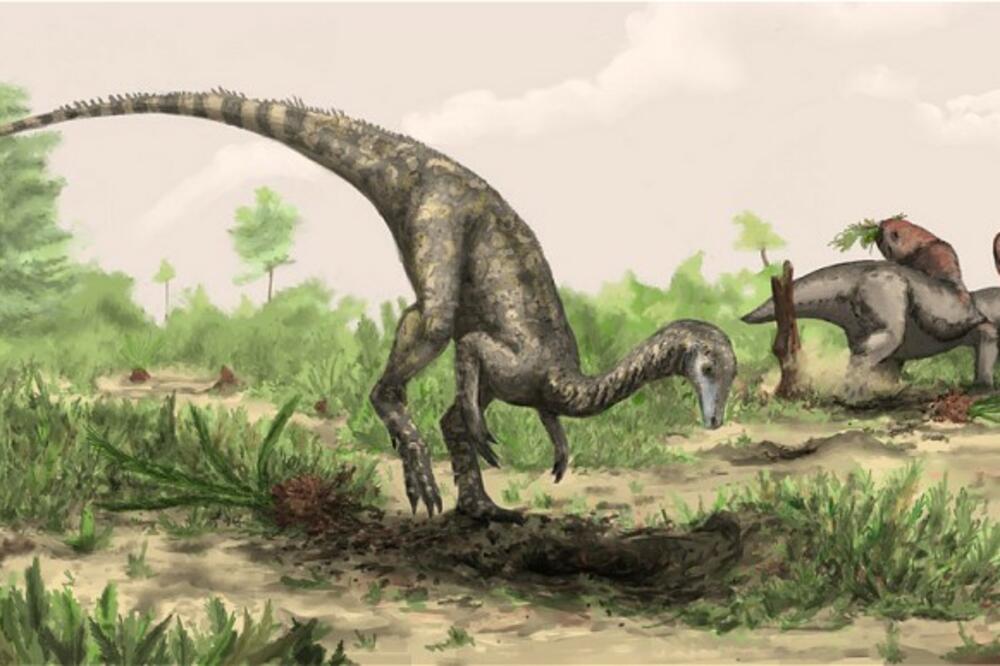 Nyasasaurus parringtoni, Foto: Telegraph.co.uk