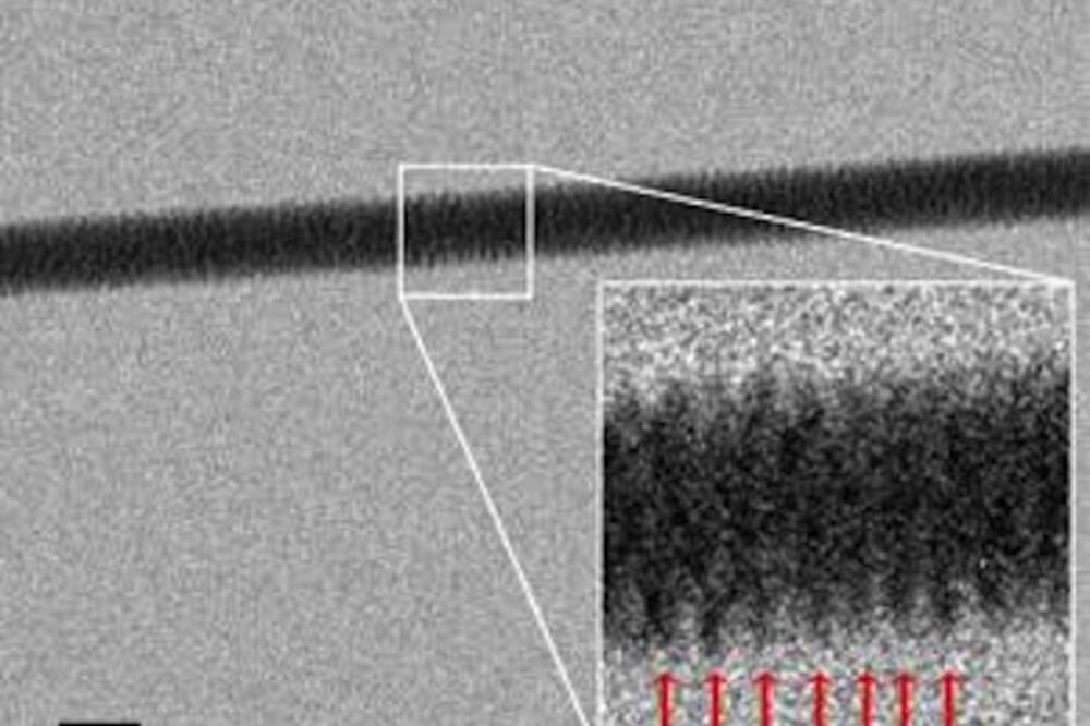 DNK, Foto: Enco di Fabricio