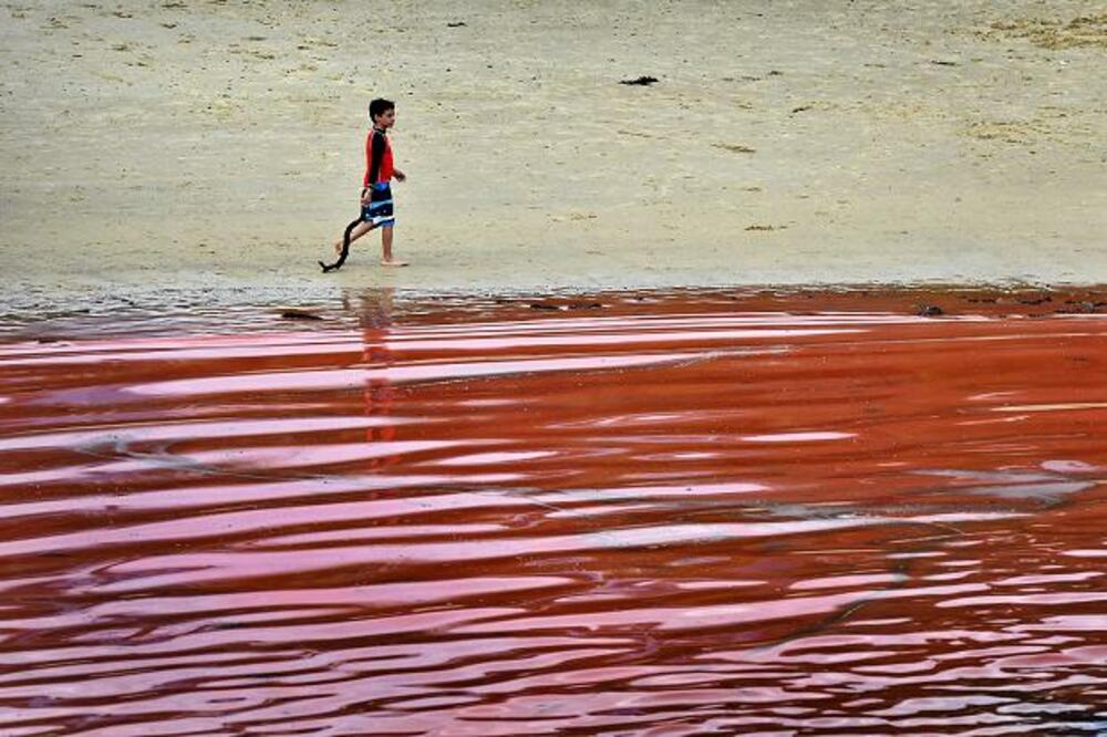 crveni okean, Australija, Foto: Thetimes.co.uk