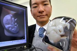 Japan: Trudnice mogu dobiti 3D model nerođene bebe ili...