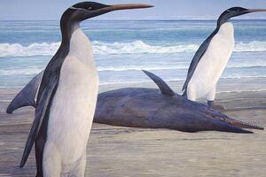 Pronađeni fosili džinovskih pingvina