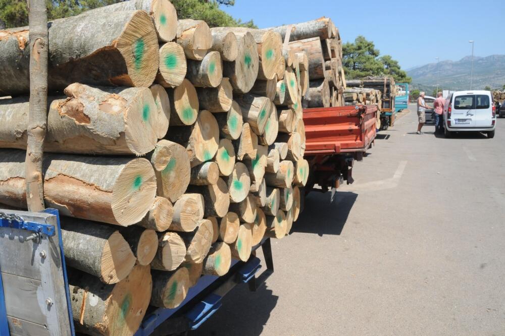 drva, prodaja drva, Foto: Luka Zeković