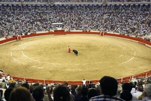 U Ekvadoru ukinuta korida