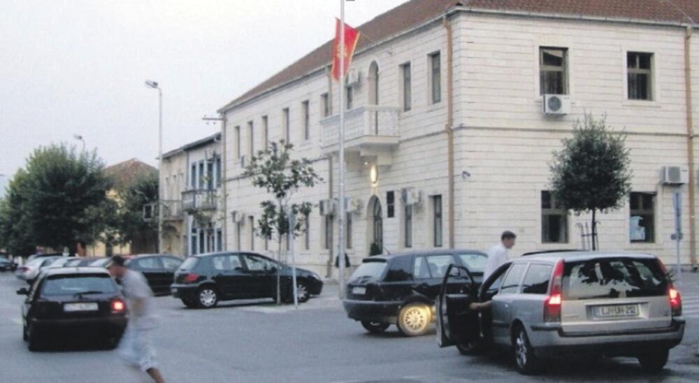 Danilovgrad, Opština Danilovgrad