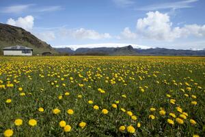 Imate li prijedlog za novo ime Islanda?