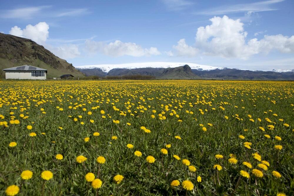 Island, Foto: Rojters