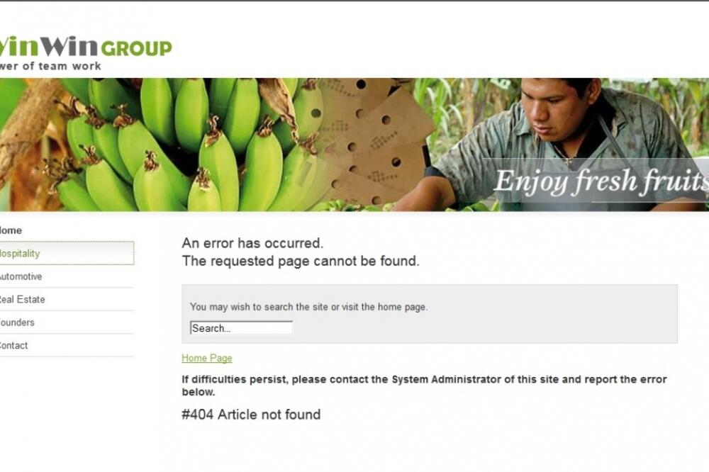 Boro Jovanić, Win Win group, Foto: Printscreen