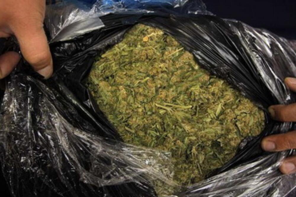 marihuana, Foto: Abcnews.go.com