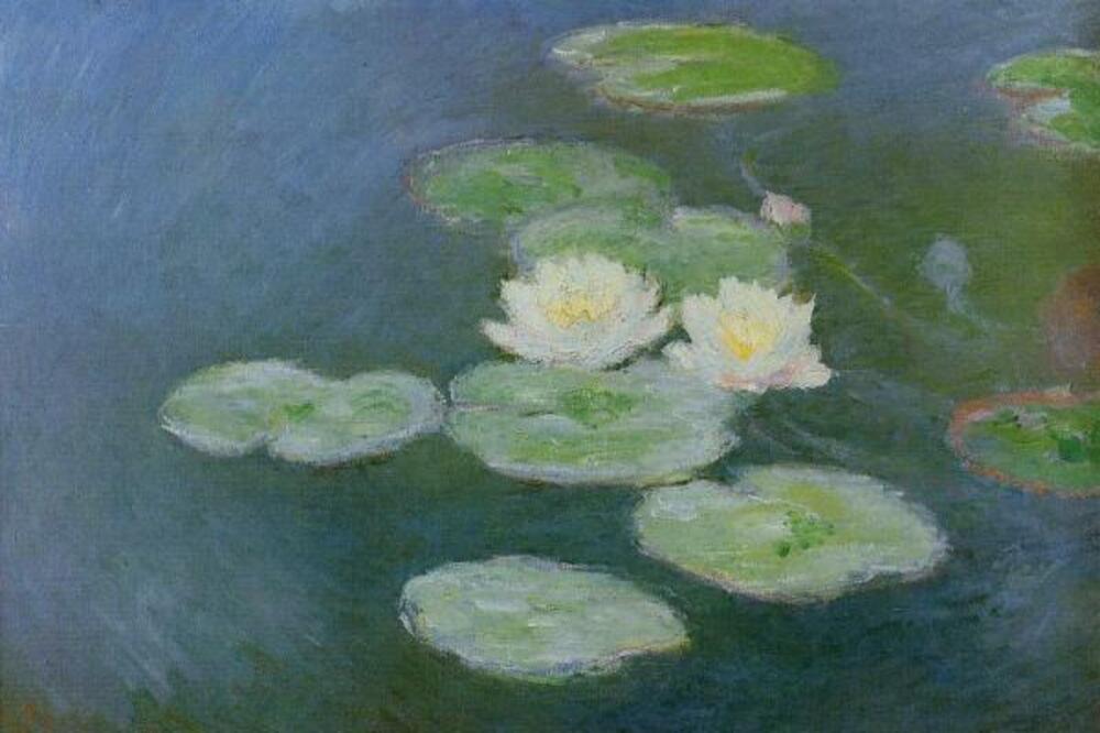 Klod Mone, Lokvanji, Foto: Claude-monet.org
