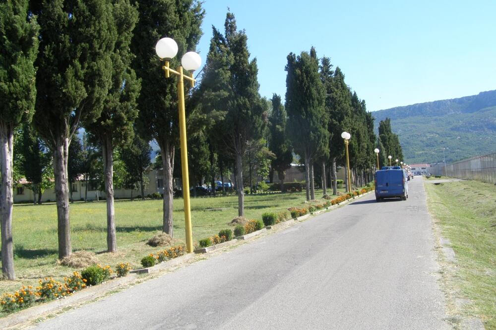 ZIKS, Foto: Jelena Jovanović