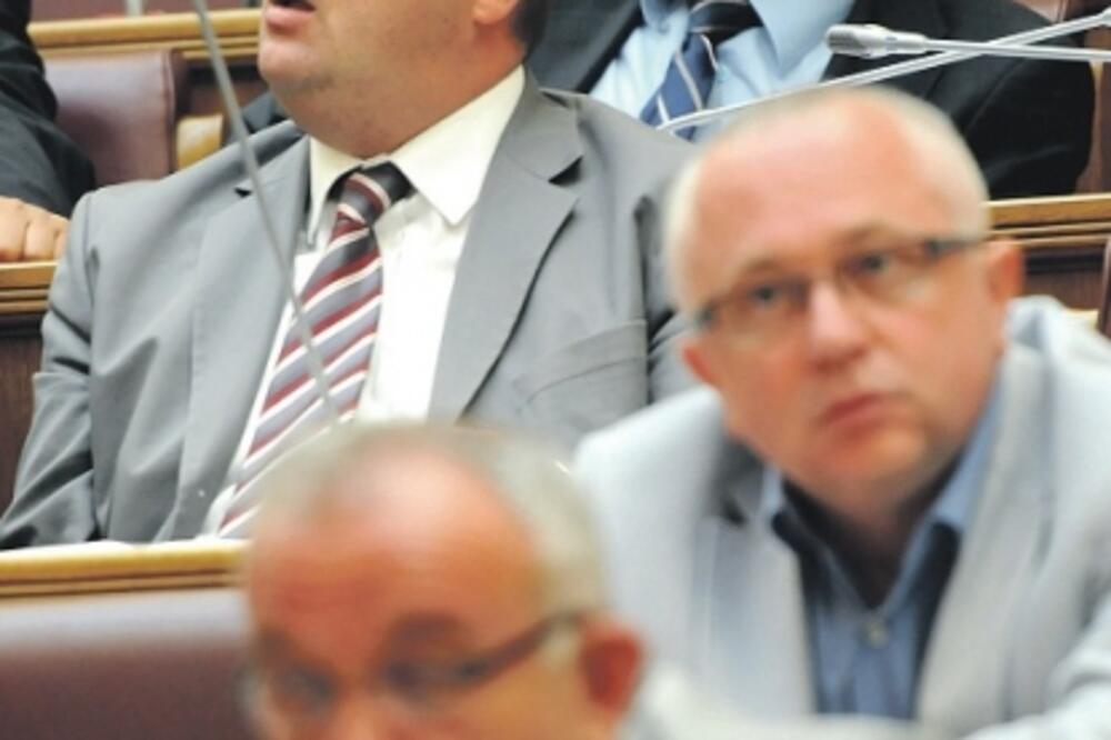 manjiske stranke, Foto: Arhiva Vijesti