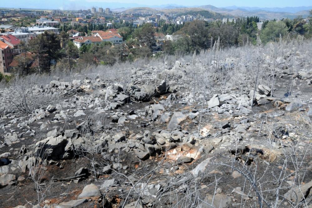 Gorica, Foto: Luka Zeković