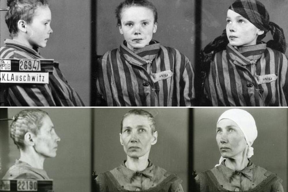 Vilhelm Brase, Foto: Vilhelm Brase