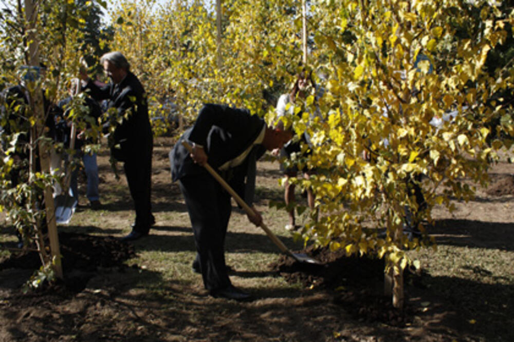 Cetinje, park UN, Foto: Cetinje.me