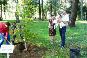 Tivat: Banovići donirali vrijednu sadnicu Gradskom parku