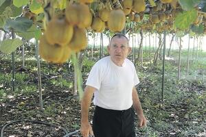 Krivi Tarzana Miloševića što kivi nije osiguran