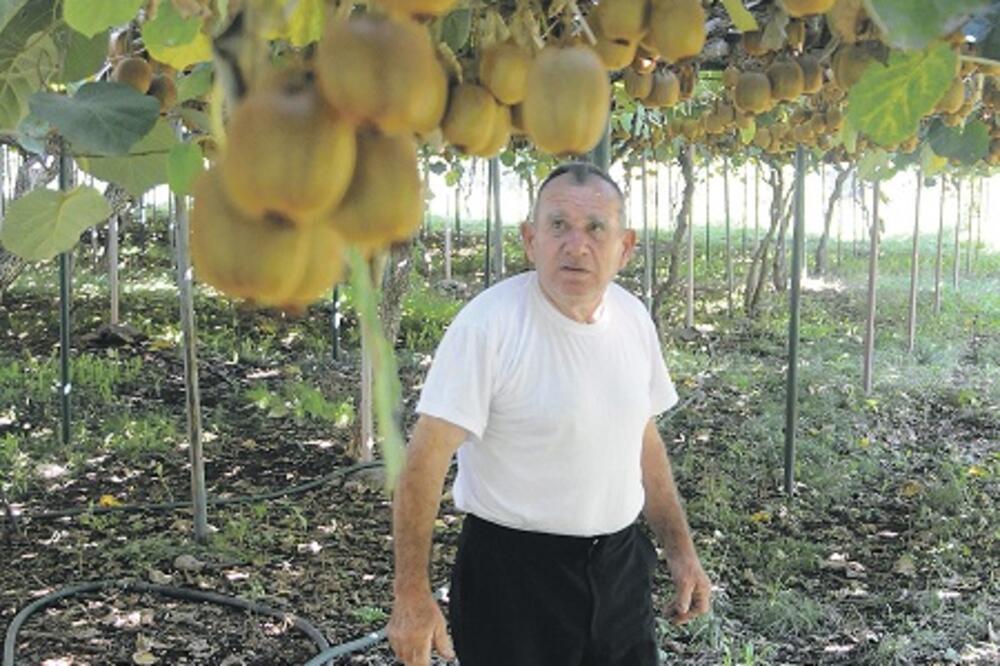 Đeljoš Ljuljđuraj, Foto: Vesko Belojević