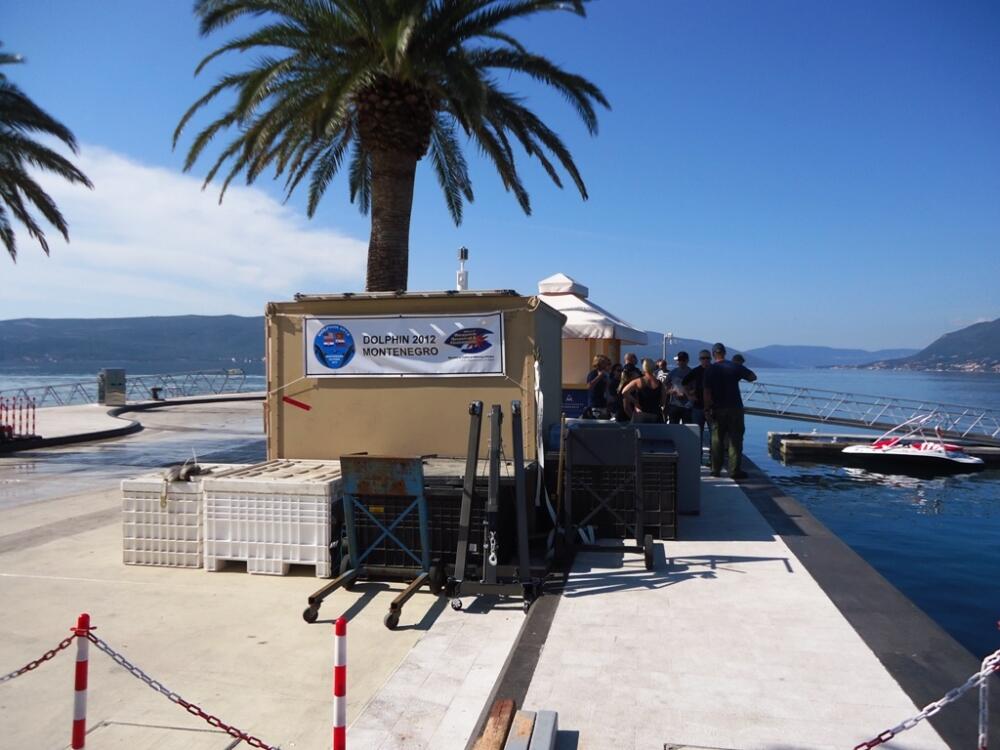 Porto Montenegro delfini