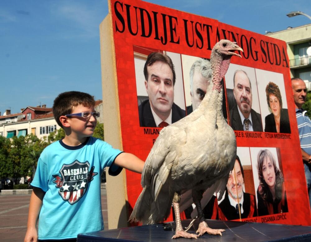 MANS ćurka, Ustavni sud