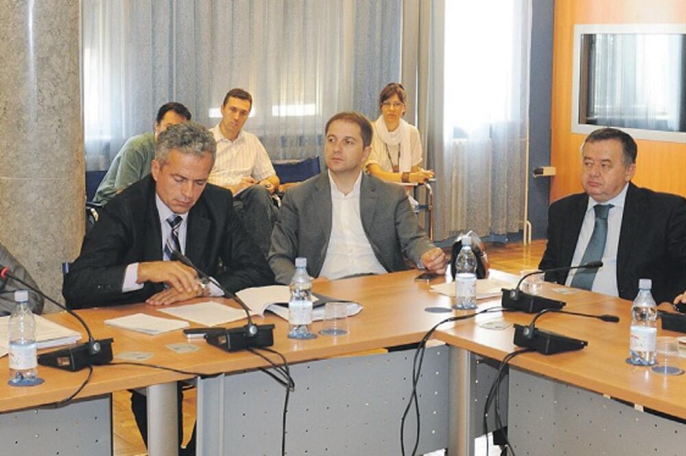 Odbor za ekonomiju, Foto: Savo Prelević