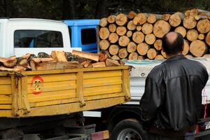 Drva za ogrijev do 45 eura